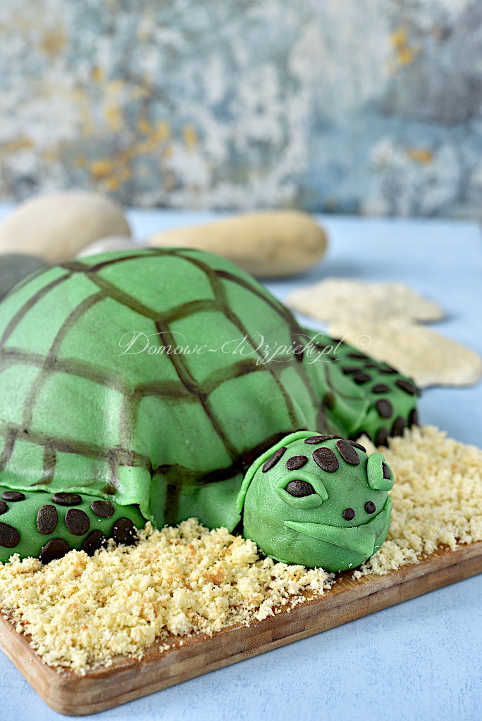 Tort żółw