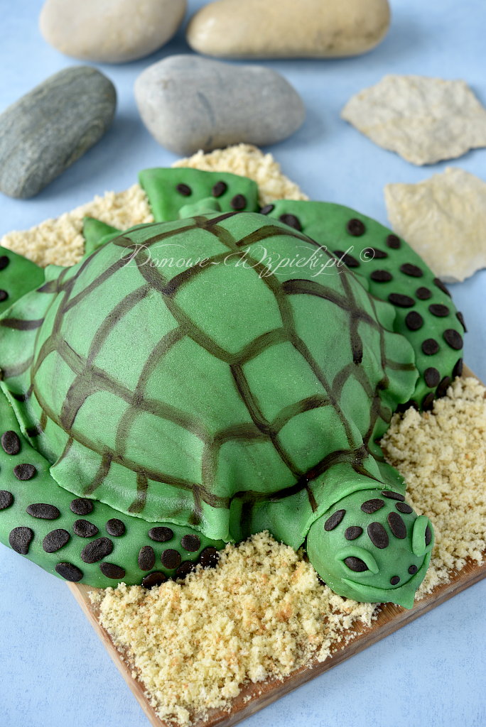 Tort żółw