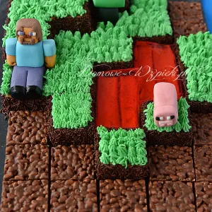 Tort Minecraft