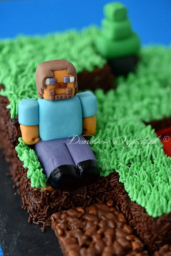 Tort Minecraft