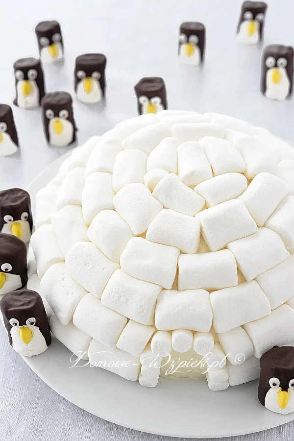 Tort igloo