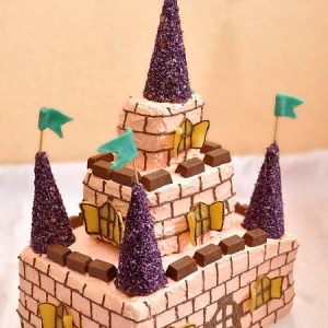 Tort zamek